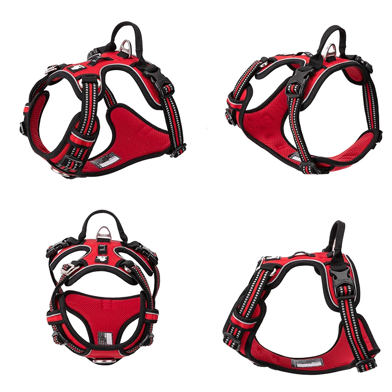 Truelove Pet Yansıtıcı Naylon  - Reflective Running Jacket incelemesi ve fiyatı